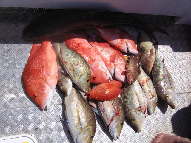 Coral Bay School Holidays 2013 mixed bag